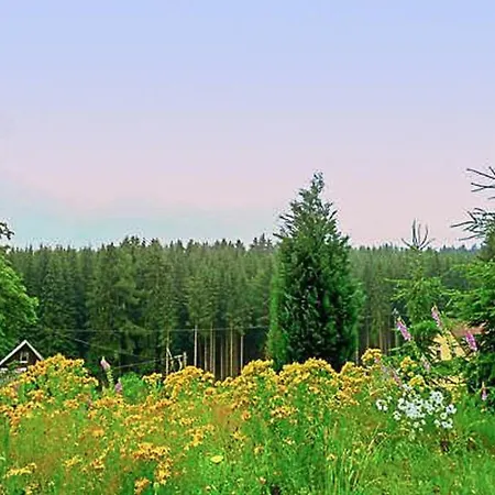 Mit Bergblick By Interhome Apartment Bad Elster