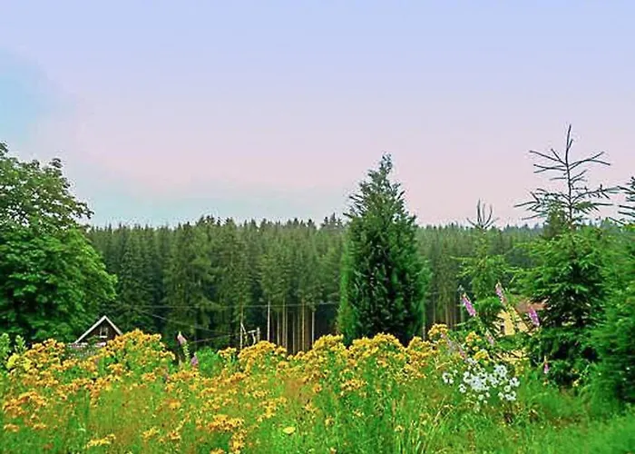 Mit Bergblick By Interhome Lägenhet Bad Elster